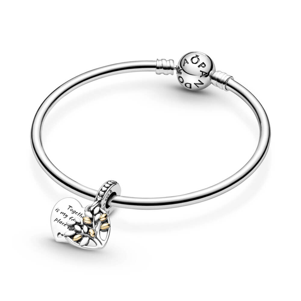 Ben bridge deals pandora charms