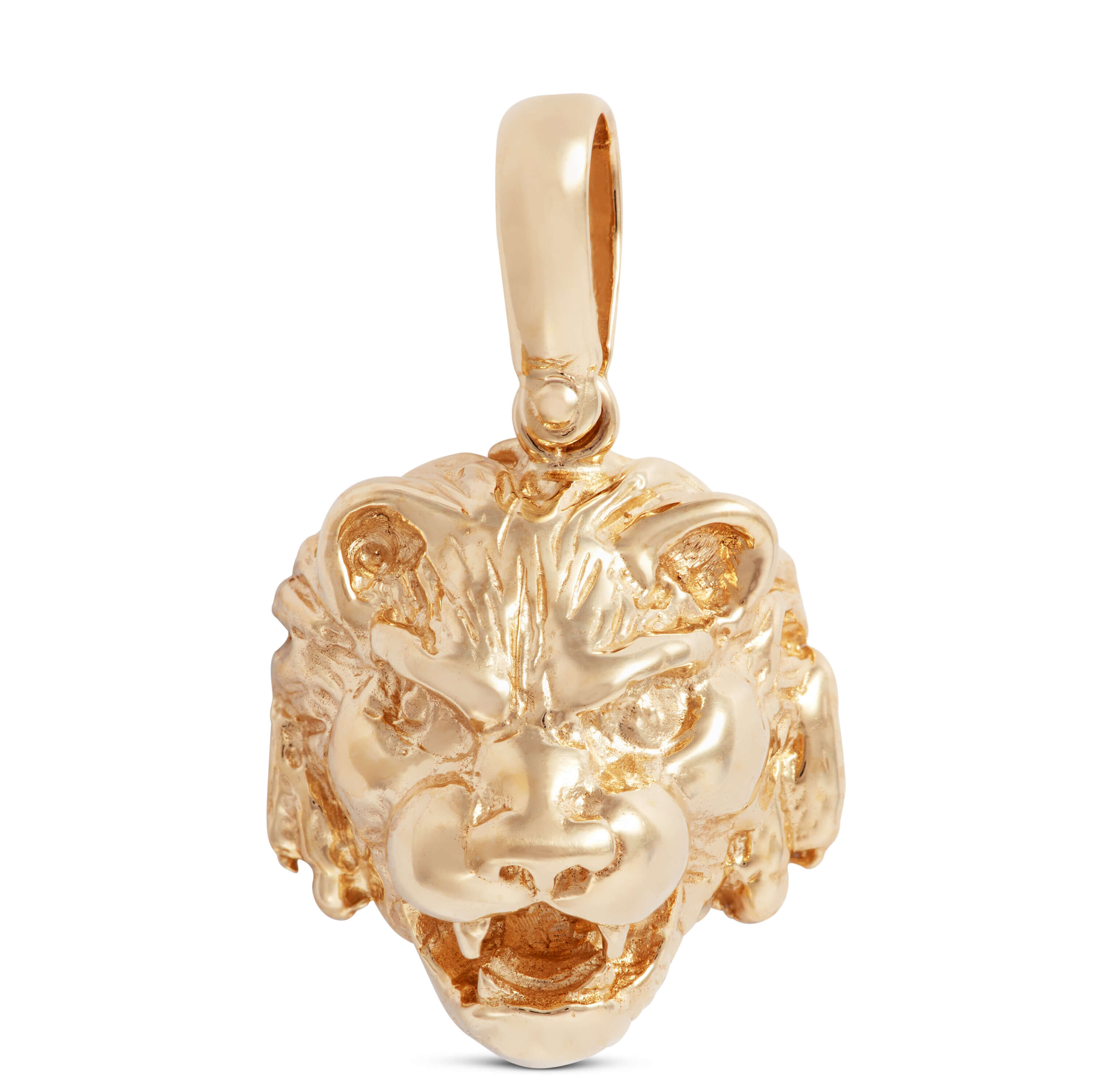 Lion sale gold charm