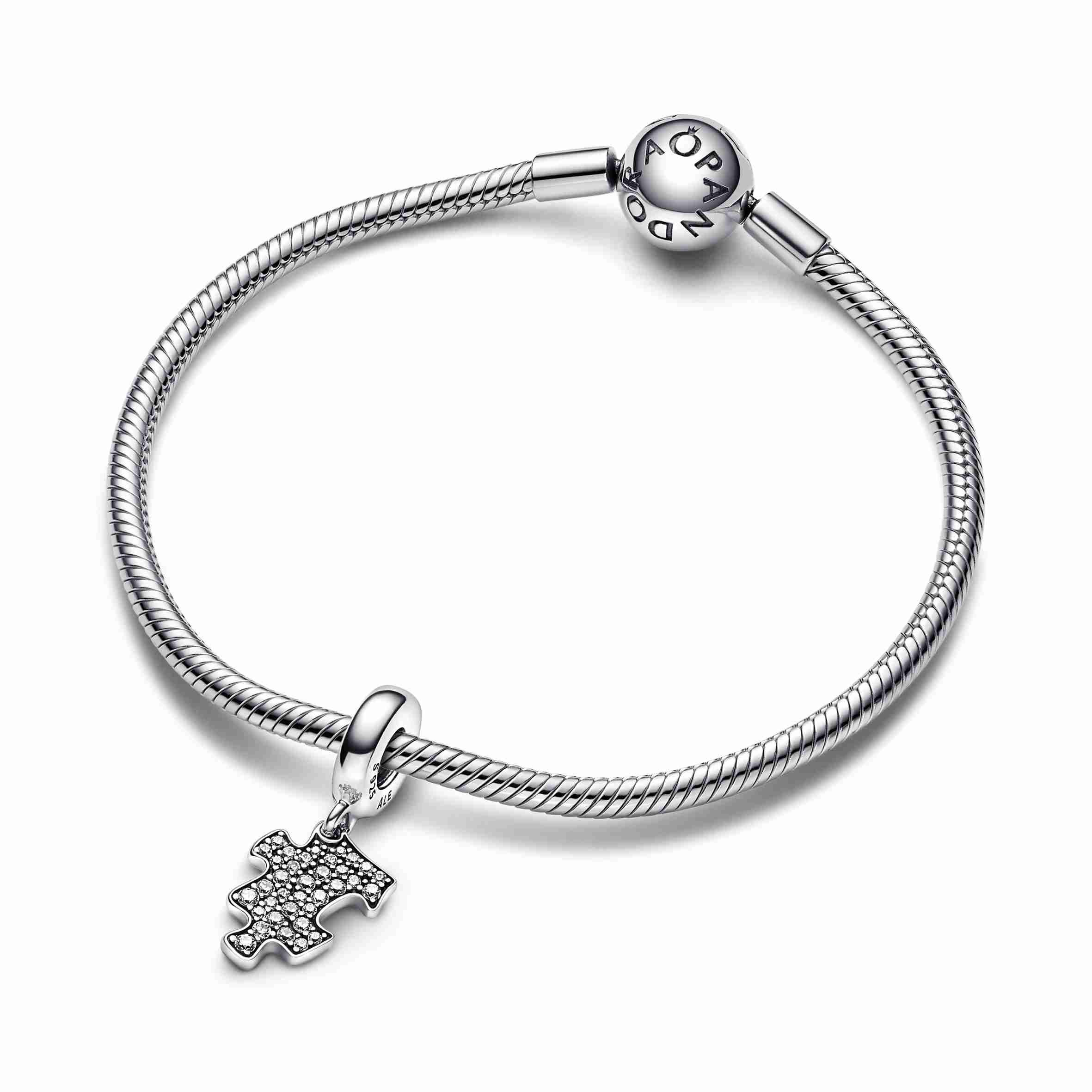 Puzzle 2025 pandora charm